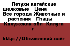 Петухи китайские шелковые › Цена ­ 1 000 - Все города Животные и растения » Птицы   . Калужская обл.,Калуга г.